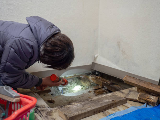 Best Mold Prevention Services  in Ellenton, FL
