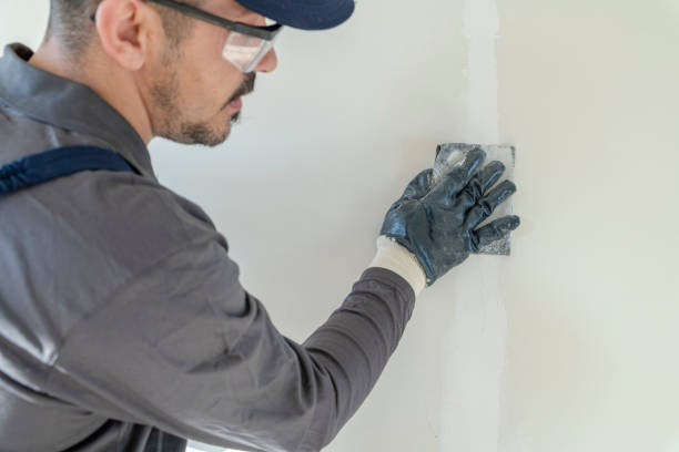 Best Comprehensive Air Testing for Mold Contaminants  in Ellenton, FL