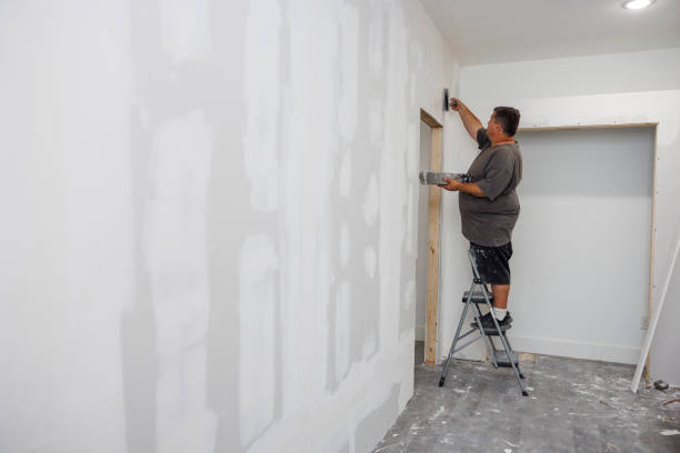 Best Basement Mold Removal  in Ellenton, FL
