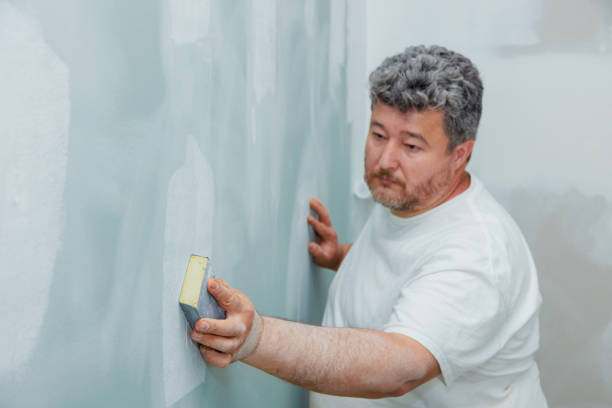 Best Environmental Consulting for Mold Prevention  in Ellenton, FL