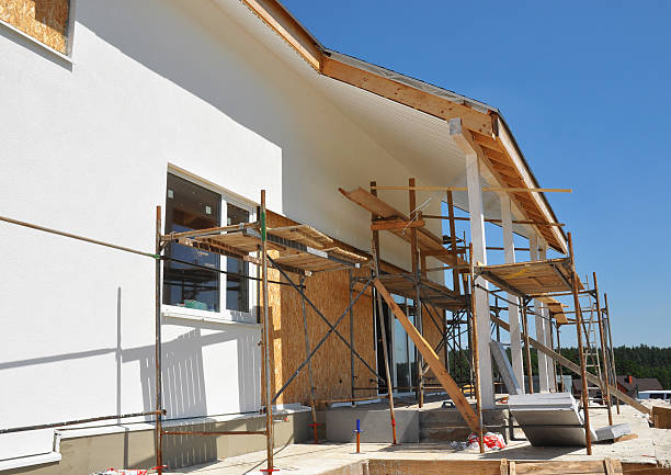 Best Mold Damage Restoration  in Ellenton, FL