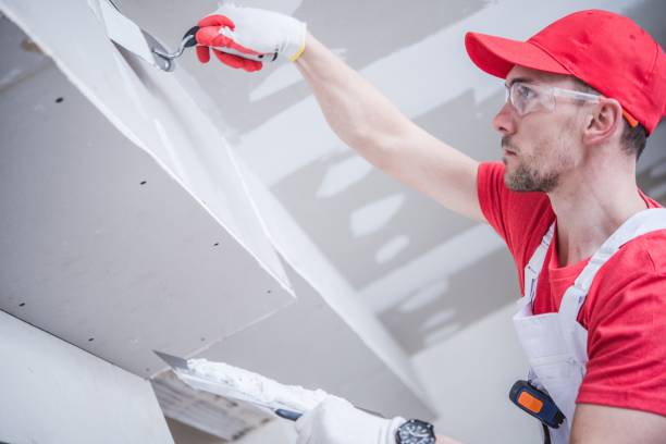 Best Comprehensive Air Testing for Mold Contaminants  in Ellenton, FL